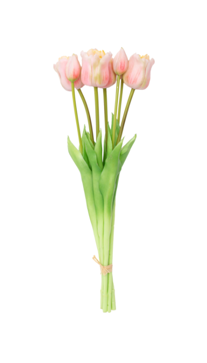 Long Stem Tulips