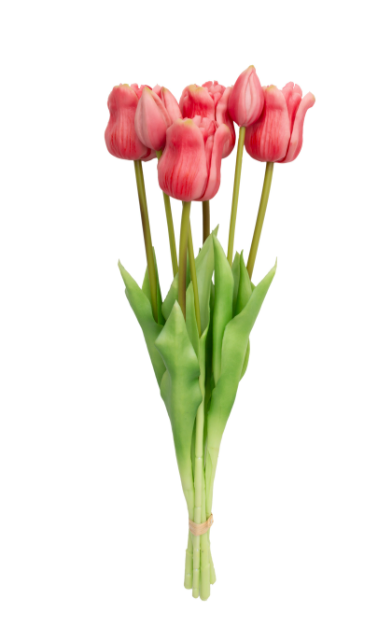 Long Stem Tulips