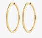 Haze Hoop Earrings