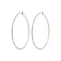 SIDNEY crystal hoop earrings