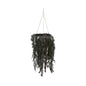 Hanging Faux evergreen Wreath