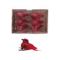 foam & feather bird orn