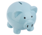 Piggy Money Bank