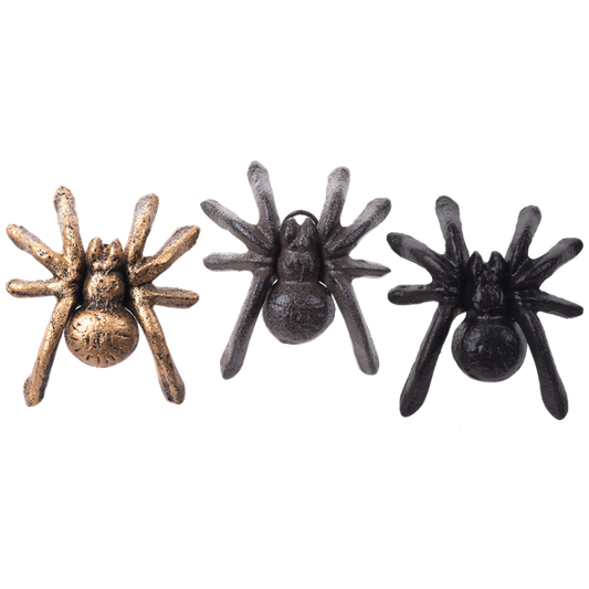 Small Spider