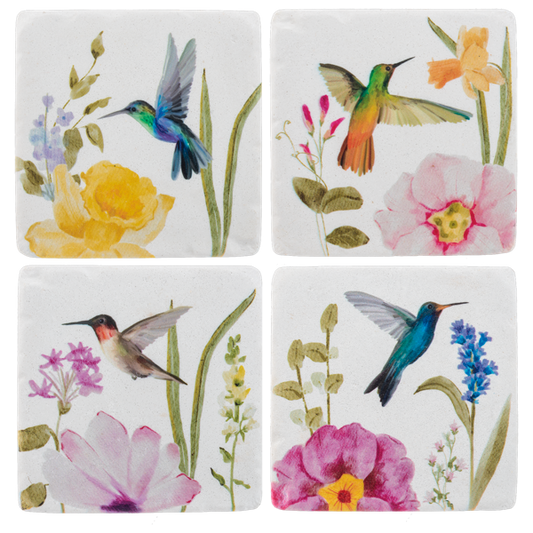 Hummingbird Coaster