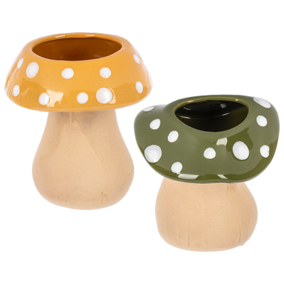 Mushroom Planter