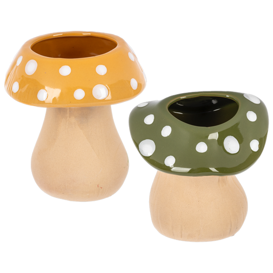 Mushroom Planter