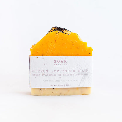 Soak Bar Soap