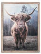 Highlander Cow with Mountain Wall Decor in Barnwood Frame