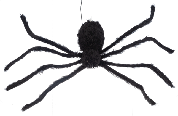 Vertical Crawling Spider