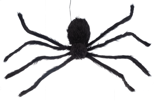 Vertical Crawling Spider