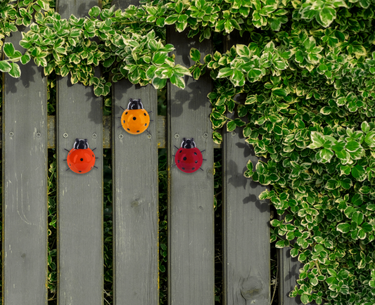 Lucky Ladybug Wall Decor