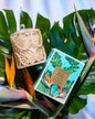 Balmy Breeze Glasshouse Fragrances 13.4 oz