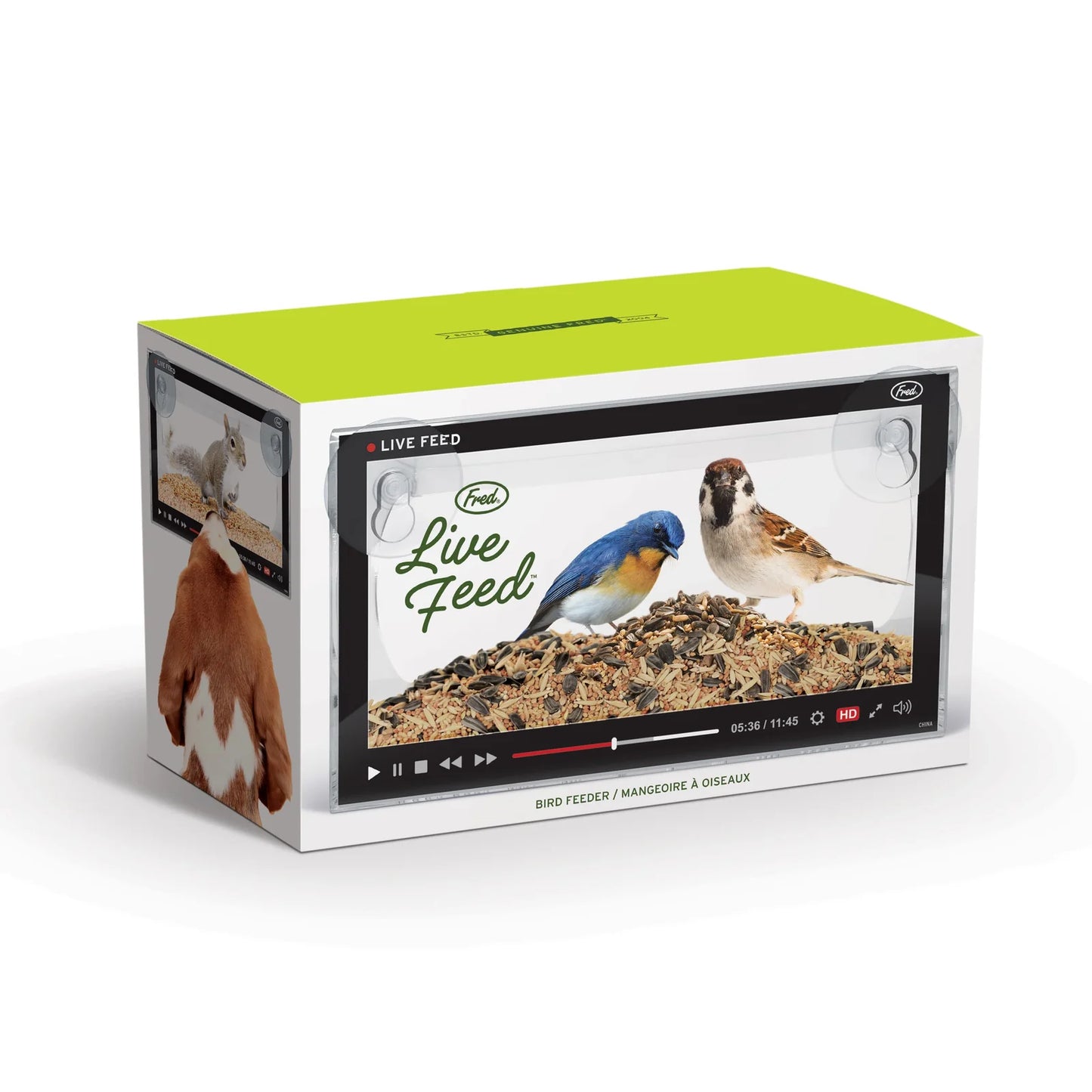 Live Feed Bird Feeder 5279968