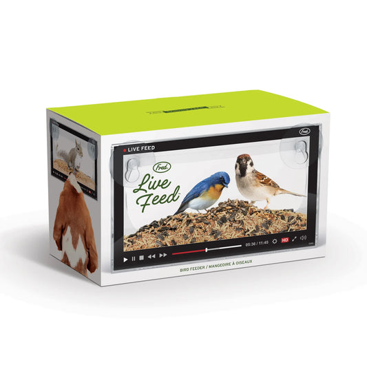 Live Feed Bird Feeder 5279968