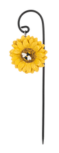 Plant Picks