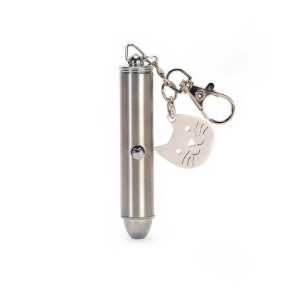 Rechargeable Laser Pointer