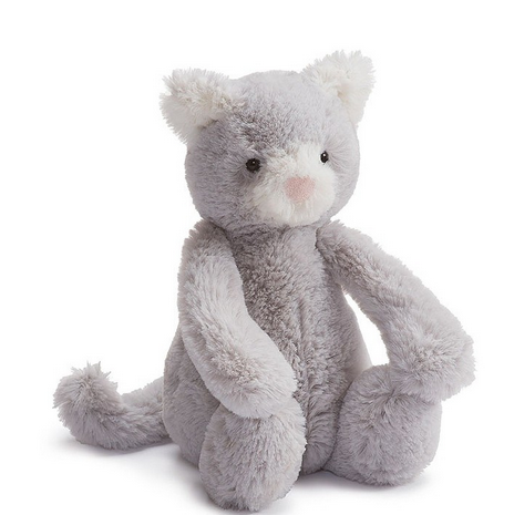 Bashful Kitten Grey