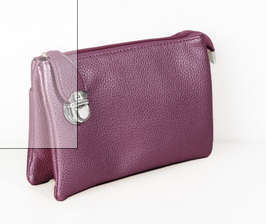 Cross Body Purse