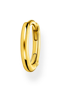 Single Hoop Earring CR656