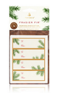 Thymes Frasier Fir