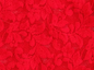Hanky Panky Retro Thong