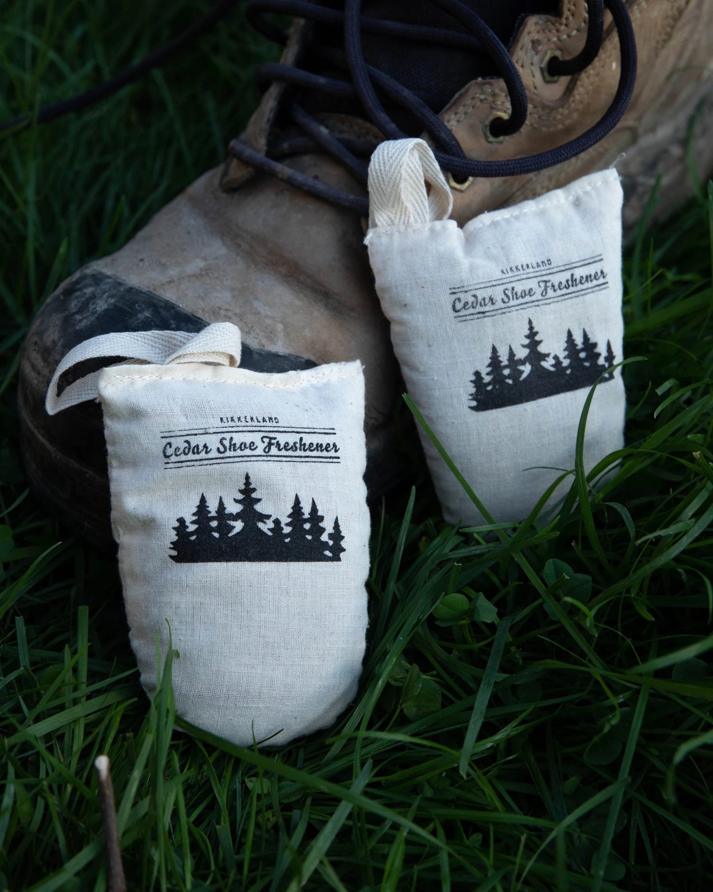 Cedar Shoe Freshener